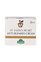 Sarı Kantaron Leke Karşıtı Krem - 50ml - St. John's Wort Anti-Blemish Cream - 3